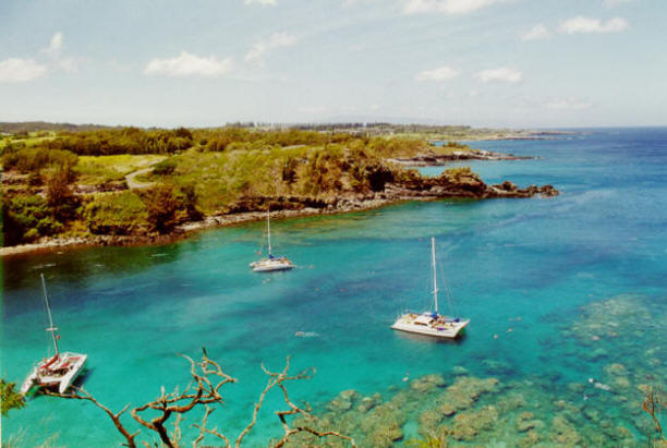 Honolua Bay Fischreichste Bucht auf Maui