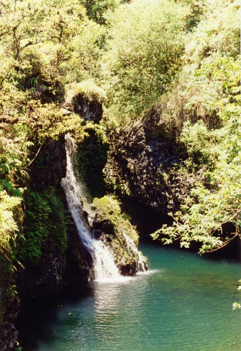 Pool mit Wasserfall am Highway nach Hana