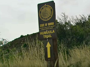 Der Humu´ula Trail auf dem Mauna Kea