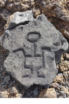 Petroglyphen am Malama Trail