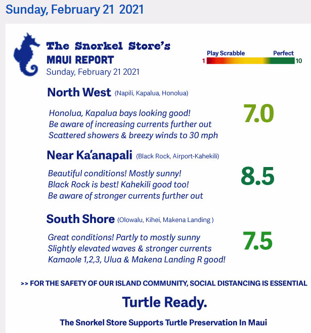 Snorkel Store Report Snorkel Store Report